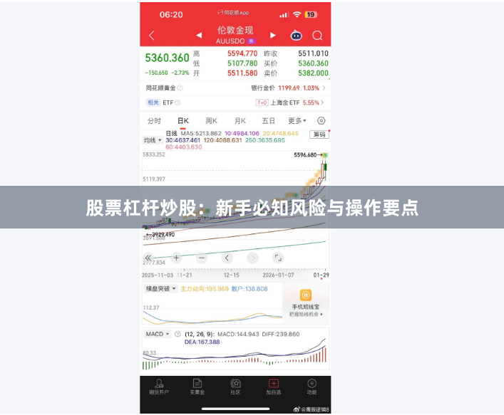 股票杠杆炒股：新手必知风险与操作要点